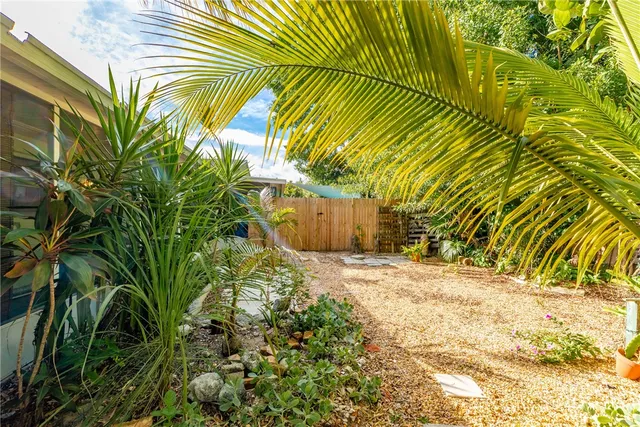 a view of a yard with plants and trees