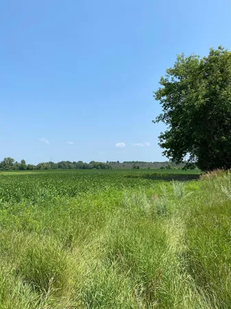 $262,500 | 65 Northeast Braham Mn 55006 Northeast, Braham, MN 55006