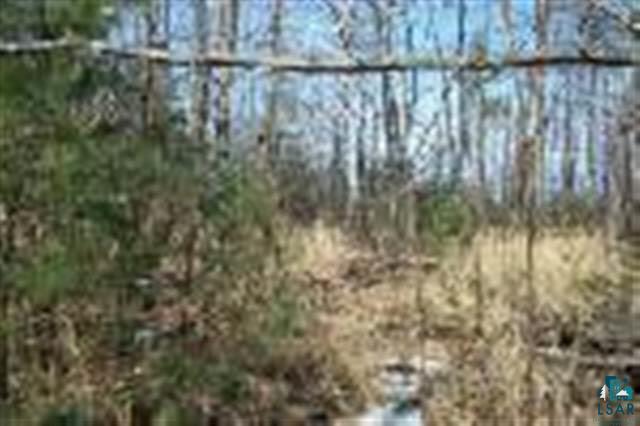 Lot 1 South Lk Road Shell Lake, WI 54871 - Photo 1 of 3