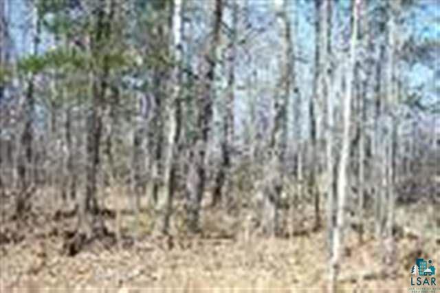 Lot 1 South Lk Road Shell Lake, WI 54871 - Photo 2 of 3