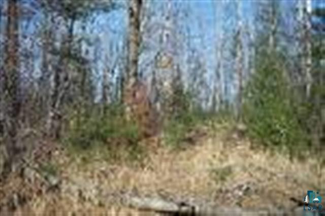 Lot 1 South Lk Road Shell Lake, WI 54871 - Photo 3 of 3