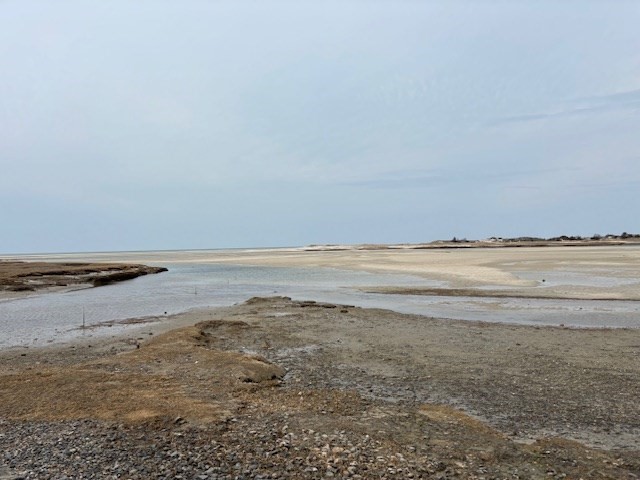 15 Jonquil Road Yarmouth, MA 02675 - Photo 34 of 35