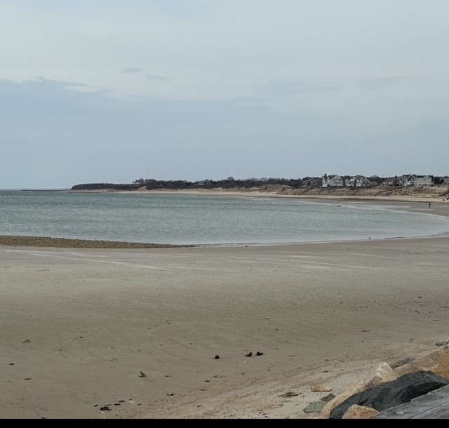 15 Jonquil Road Yarmouth, MA 02675 - Photo 35 of 35