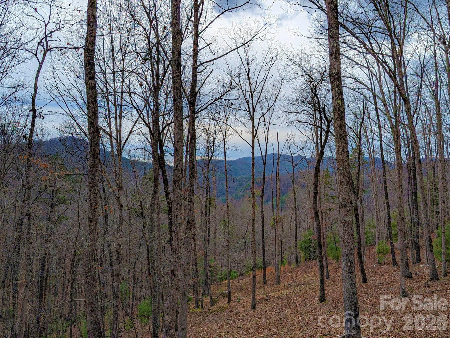 51 Wild Turkey Loop, Unit 32 Marshall, NC 28753 - Photo 1 of 37 a view of outdoor space and yard