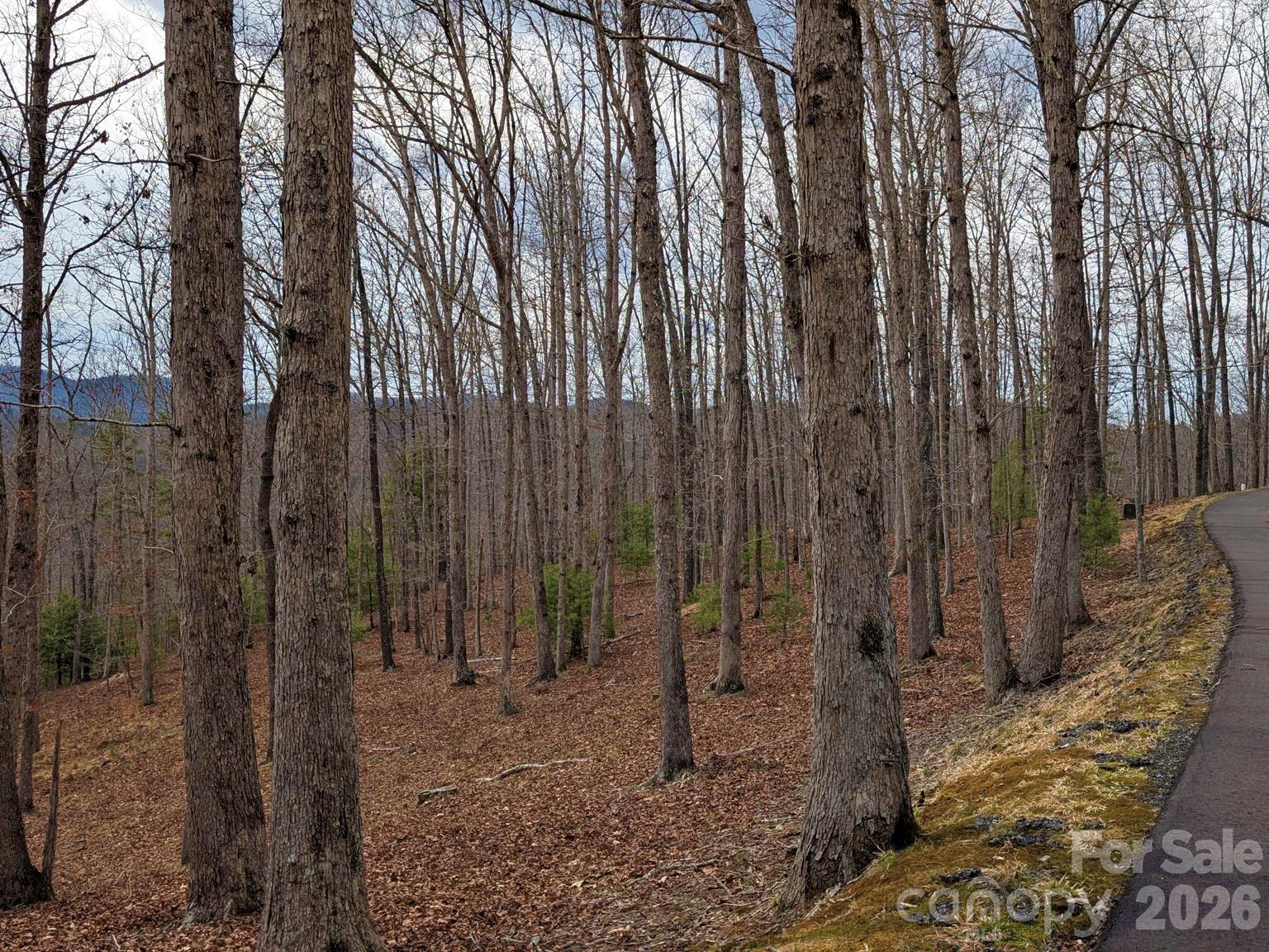 51 Wild Turkey Loop, Unit 32 Marshall, NC 28753 - Photo 14 of 37