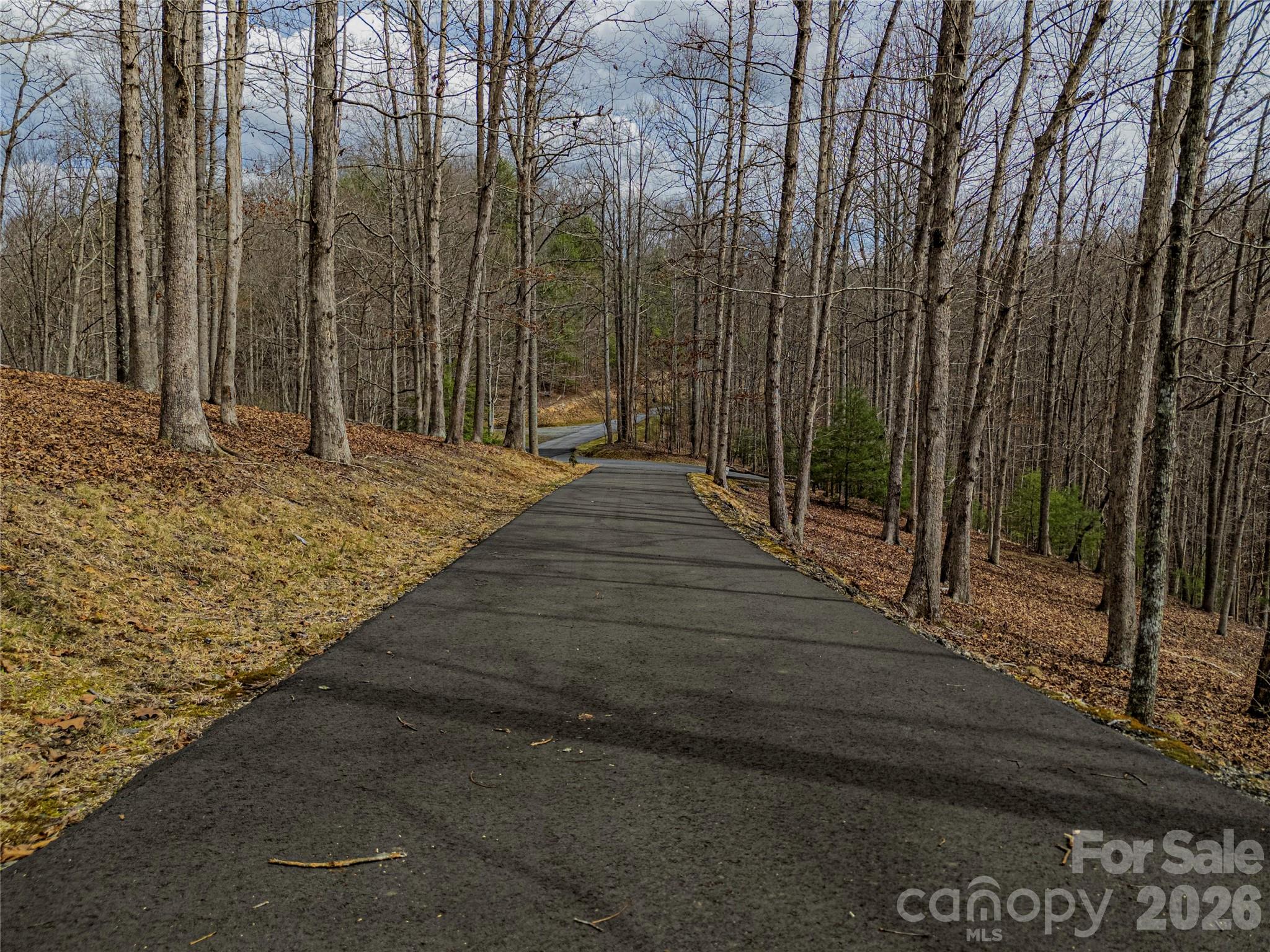 51 Wild Turkey Loop, Unit 32 Marshall, NC 28753 - Photo 15 of 37 a view of backyard with green space