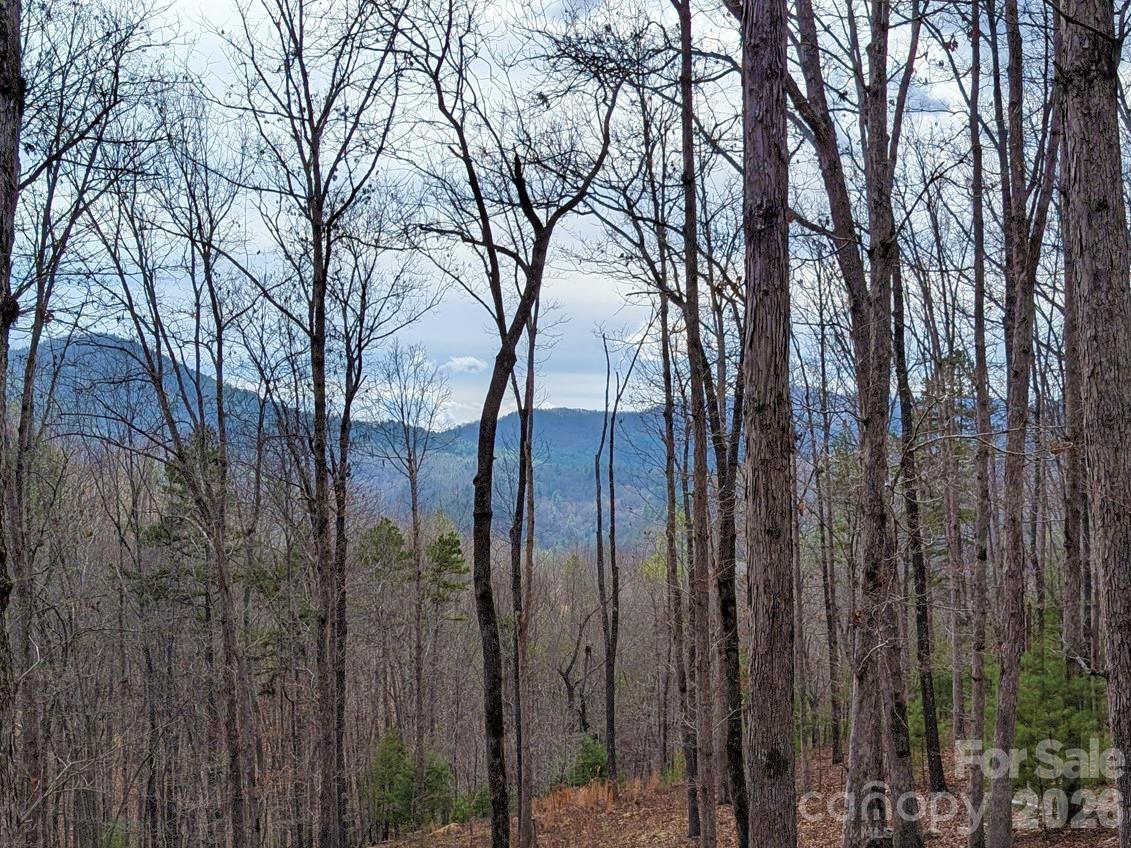51 Wild Turkey Loop, Unit 32 Marshall, NC 28753 - Photo 3 of 37 a view of mountain with trees in the background