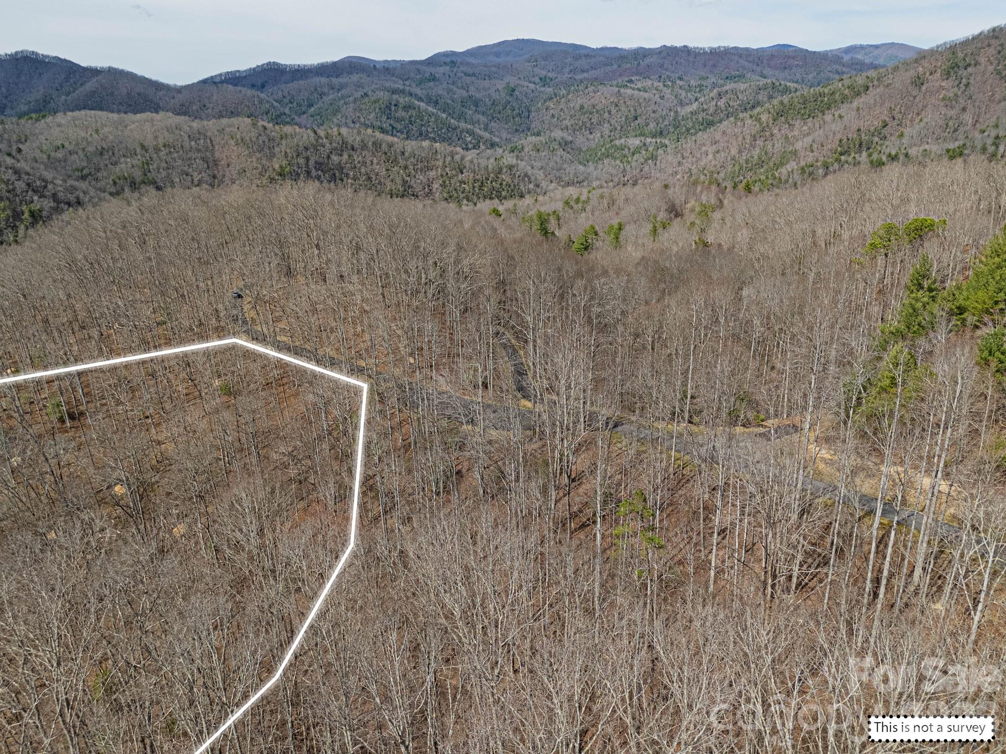 51 Wild Turkey Loop, Unit 32 Marshall, NC 28753 - Photo 32 of 37 a view of a dry yard with mountain