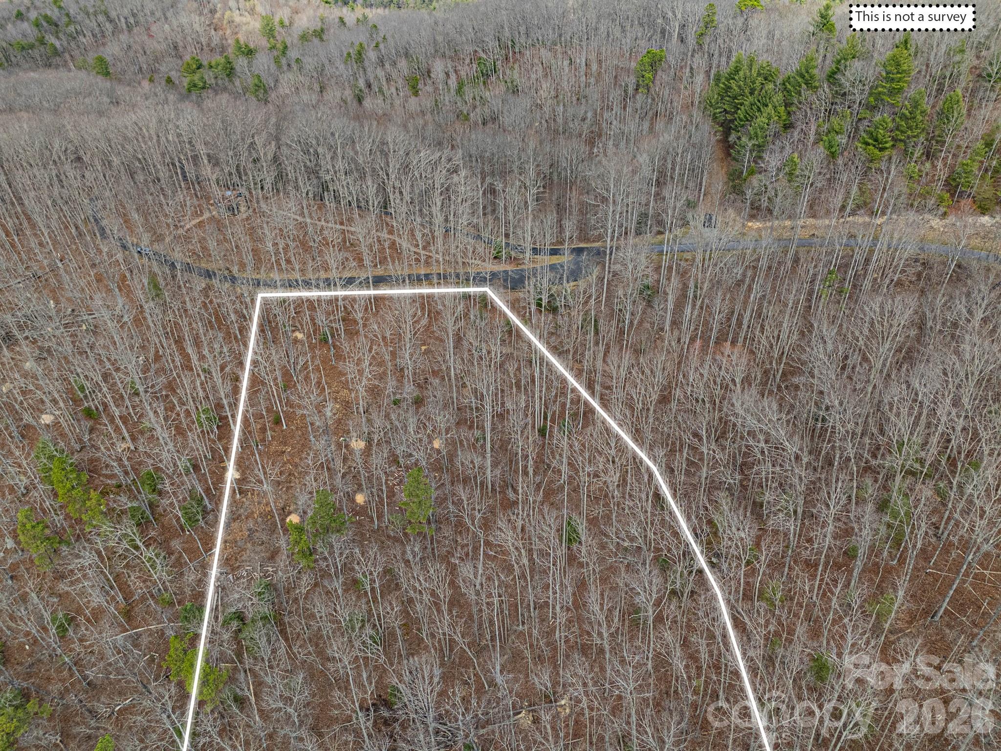 51 Wild Turkey Loop, Unit 32 Marshall, NC 28753 - Photo 34 of 37