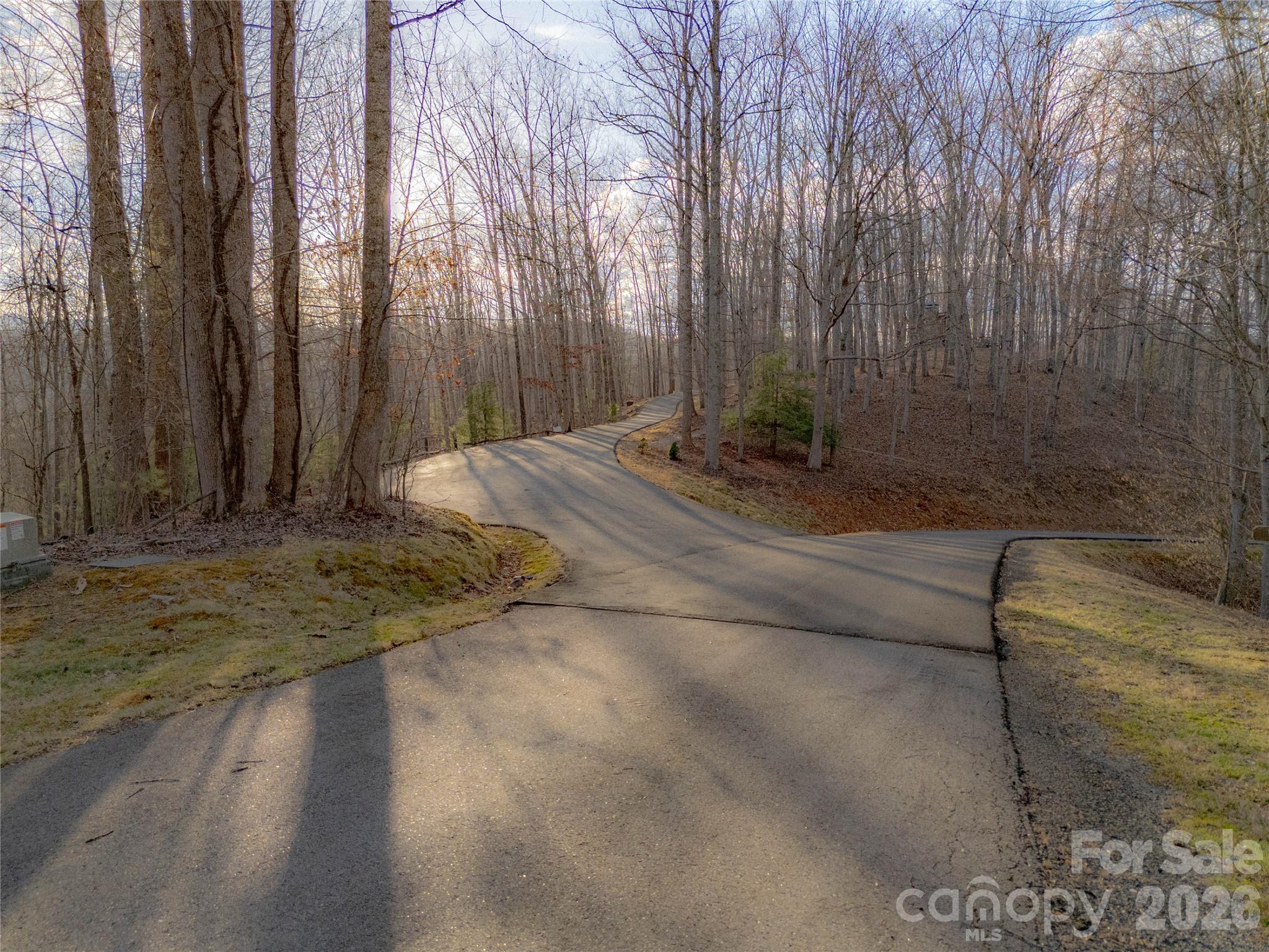 51 Wild Turkey Loop, Unit 32 Marshall, NC 28753 - Photo 6 of 37 a view of a backyard of the house
