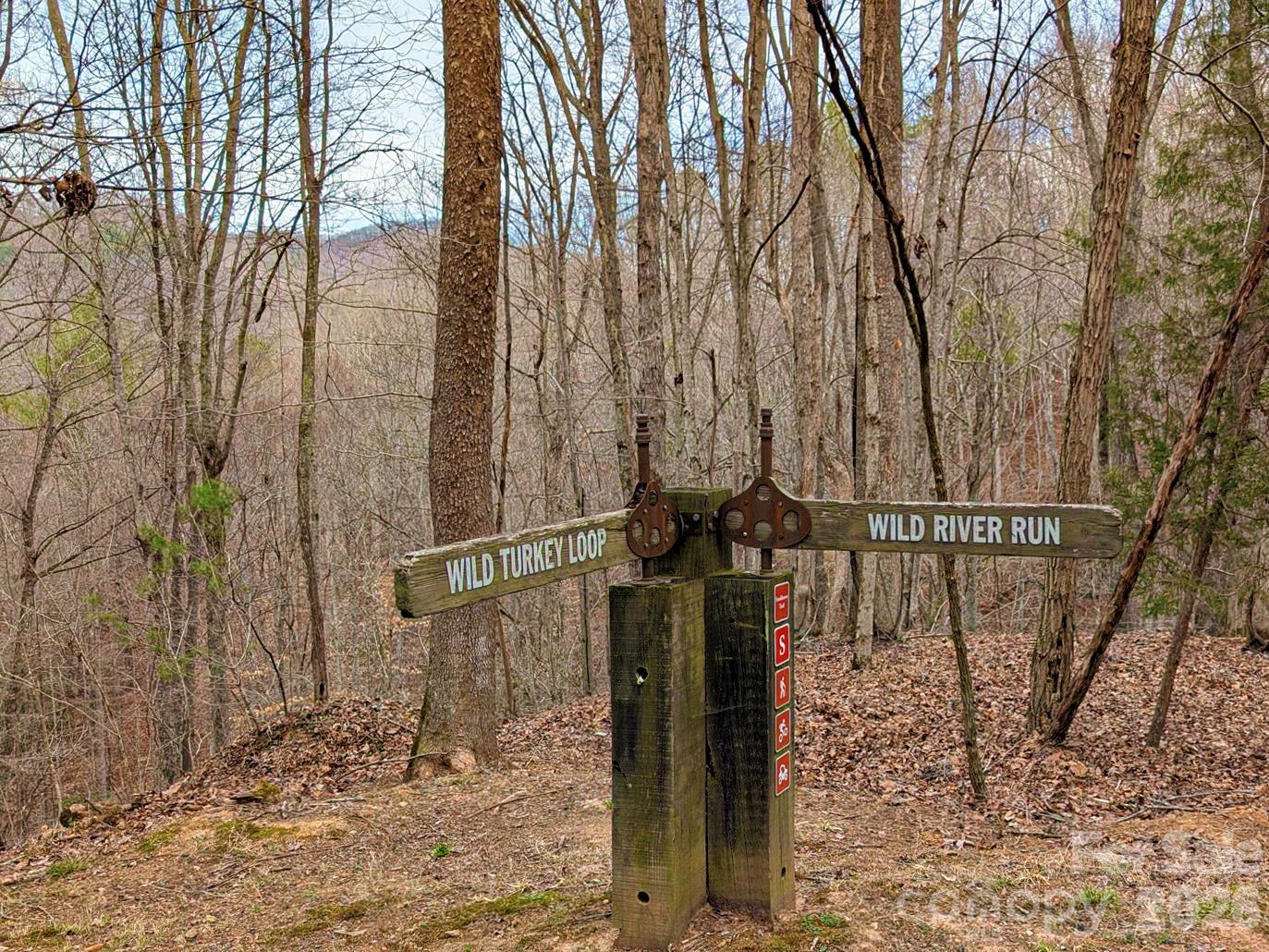 51 Wild Turkey Loop, Unit 32 Marshall, NC 28753 - Photo 9 of 37 a view of a pathway of a house