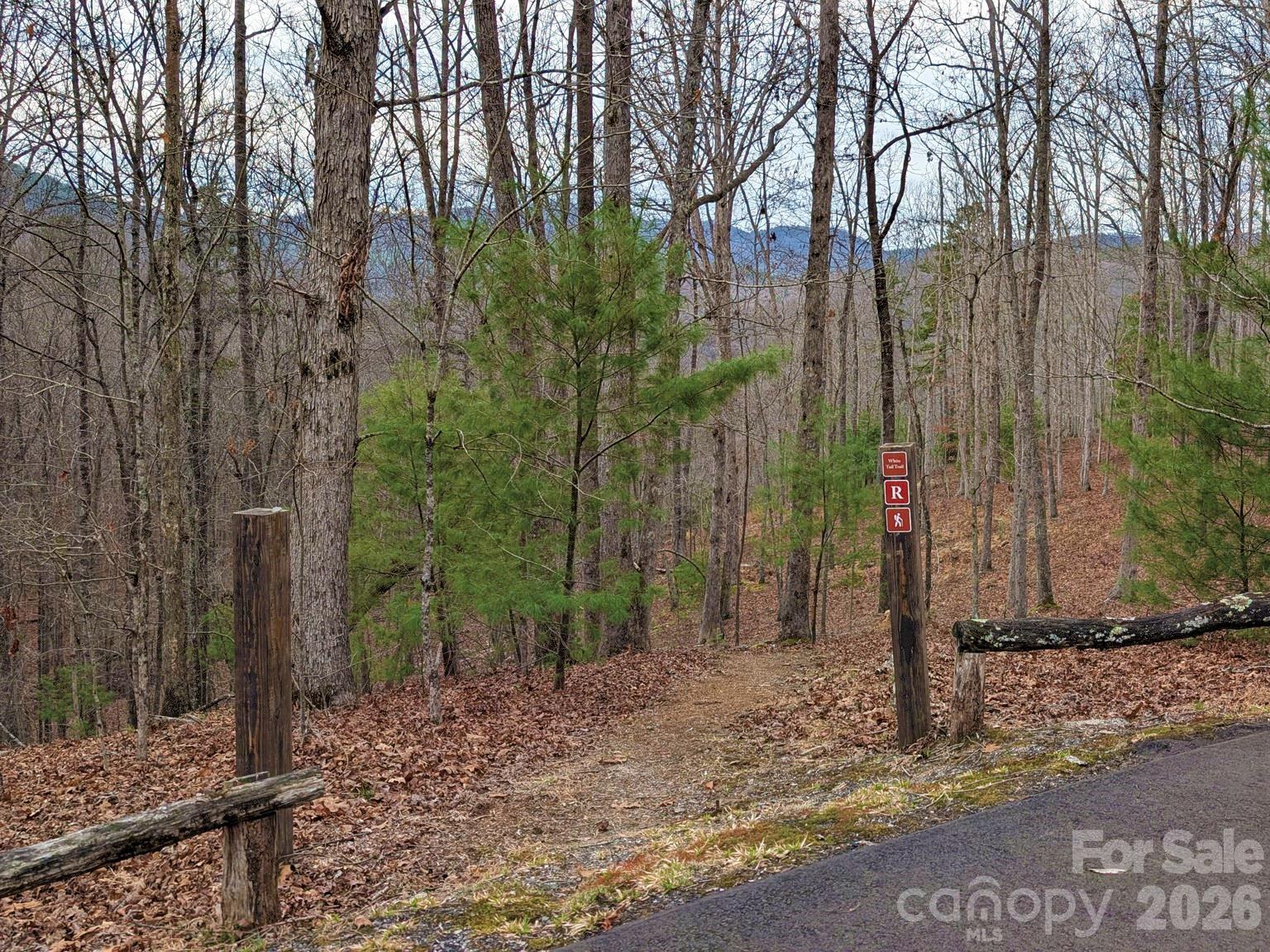 51 Wild Turkey Loop, Unit 32 Marshall, NC 28753 - Photo 10 of 37 a view of a forest filled with trees