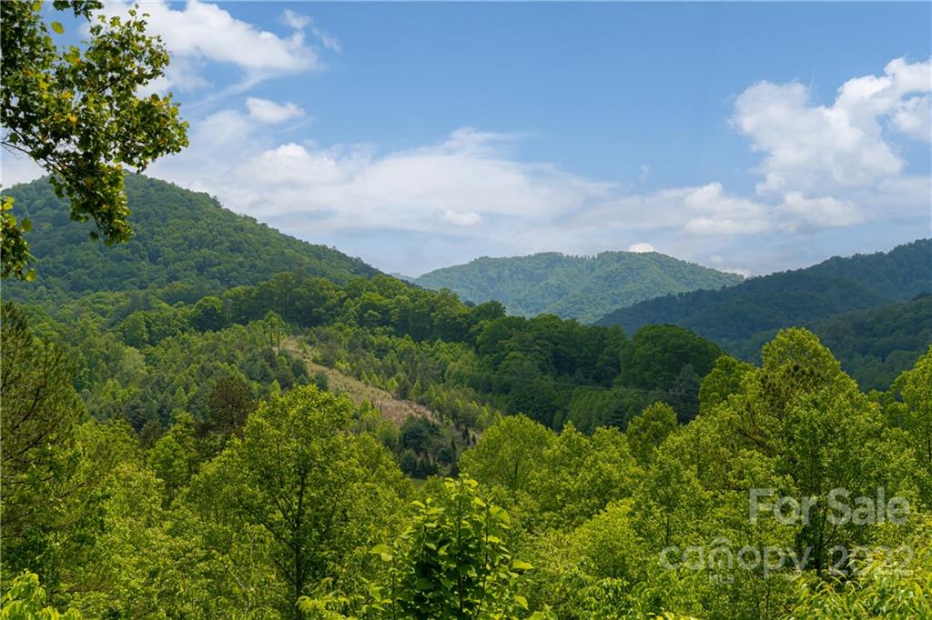 2391 Paint Fork Road Mars Hill, NC 28754 - Photo 38 of 45 a view of a city with lush green forest