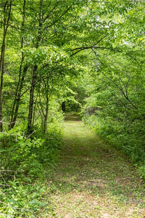 2391 Paint Fork Road Mars Hill, NC 28754 - Photo 39 of 45 a view of a garden