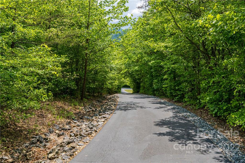 2391 Paint Fork Road Mars Hill, NC 28754 - Photo 41 of 45 a view of a road with trees in the background