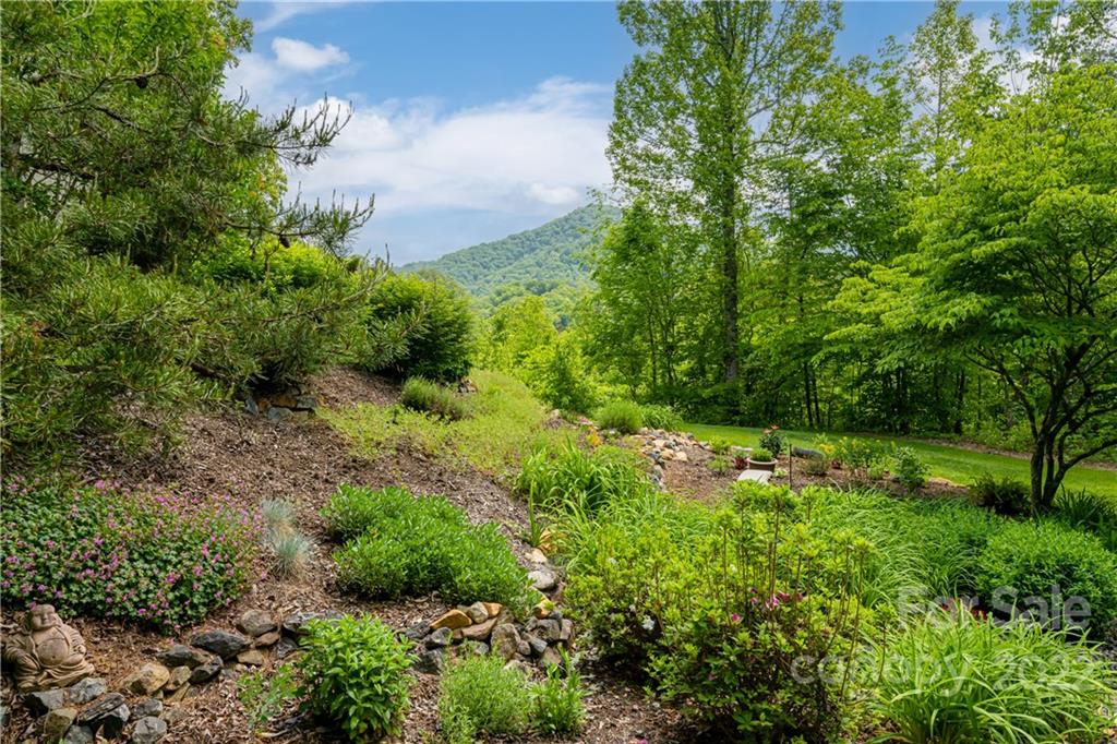 2391 Paint Fork Road Mars Hill, NC 28754 - Photo 7 of 45 a view of a garden with plants and large trees