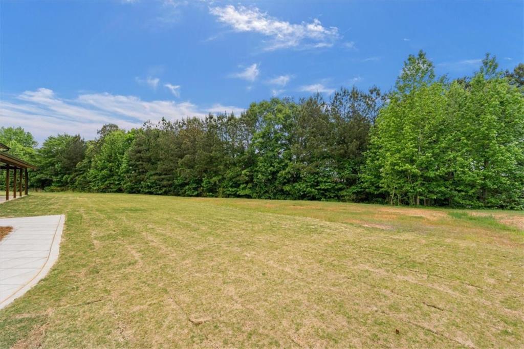 112 Summit Lane Bremen, GA 30110 - Photo 57 of 62