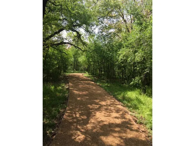 a view of a yard with plants and a trees