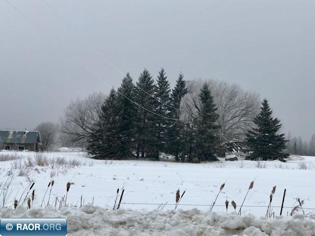 9726 Zim Road Forbes, MN 55738 - Photo 11 of 12