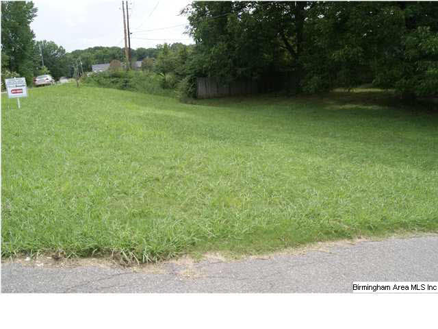 1614 Powder Plant Road Bessemer, AL 35022 - Photo 2 of 16