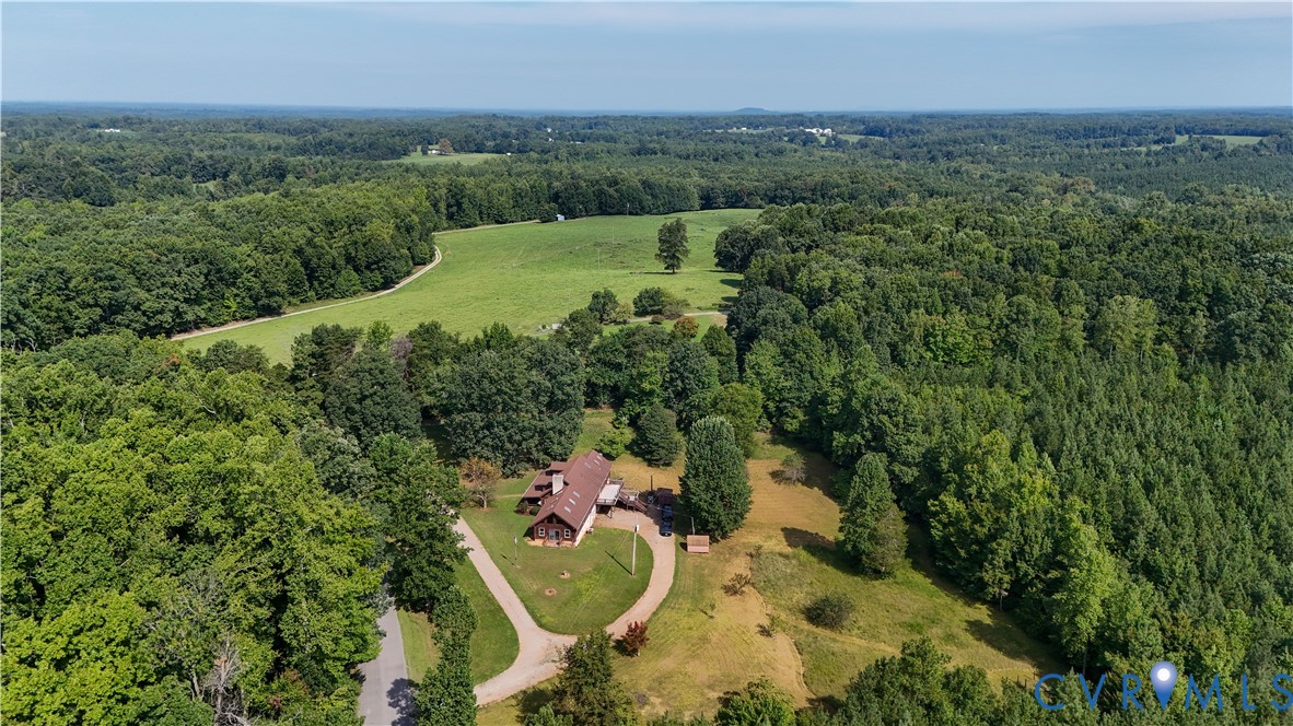 1323 Old Peach Tree Road Green Bay, VA 23942 - Photo 58 of 65 Expansive wooded surroundings with a central resid