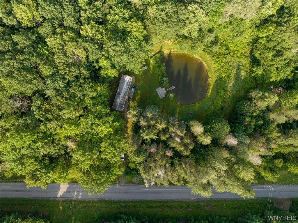 5560 Ackerman Hill Road Amity, NY 14813 - Photo 19 of 32