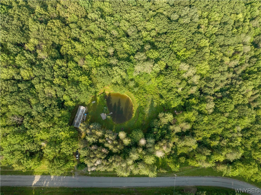 5560 Ackerman Hill Road Amity, NY 14813 - Photo 20 of 32