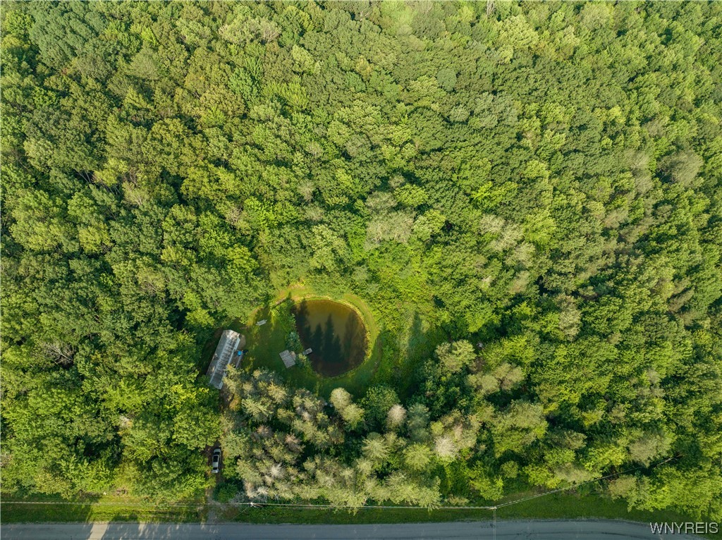 5560 Ackerman Hill Road Amity, NY 14813 - Photo 21 of 32