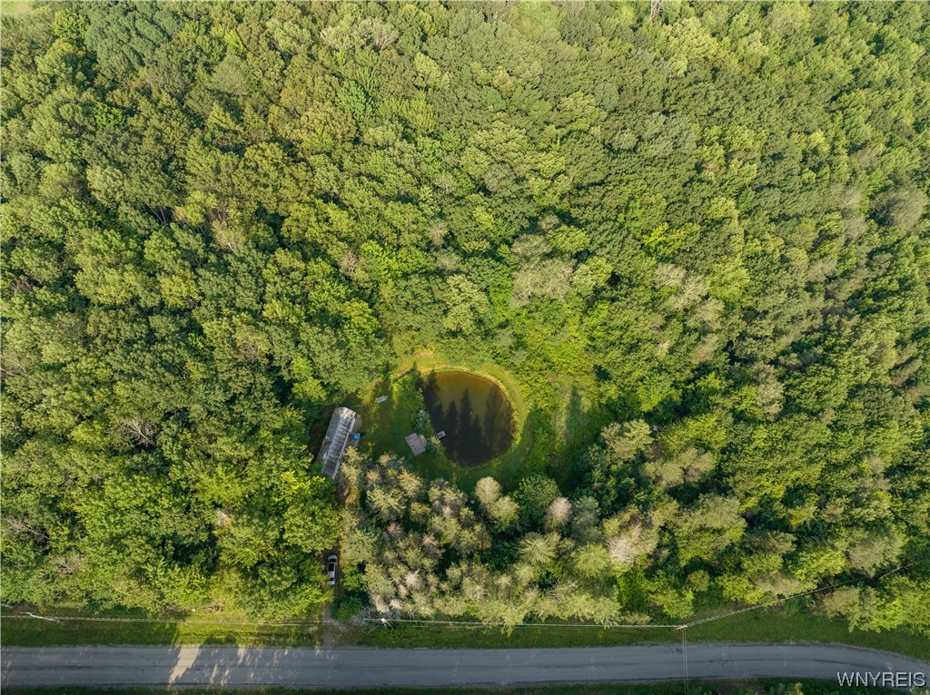 5560 Ackerman Hill Road Amity, NY 14813 - Photo 22 of 32