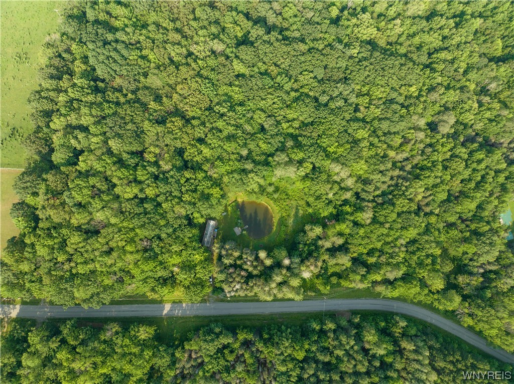 5560 Ackerman Hill Road Amity, NY 14813 - Photo 23 of 32