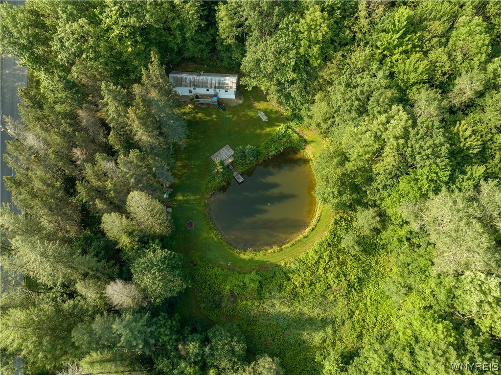 5560 Ackerman Hill Road Amity, NY 14813 - Photo 24 of 32