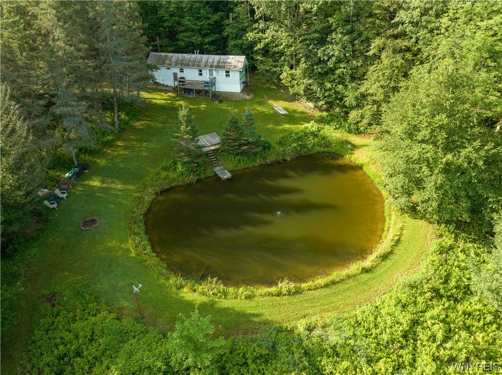 5560 Ackerman Hill Road Amity, NY 14813 - Photo 25 of 32