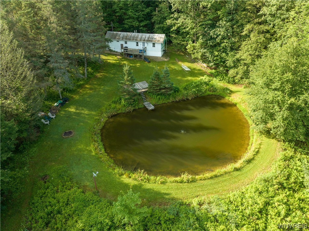 5560 Ackerman Hill Road Amity, NY 14813 - Photo 26 of 32