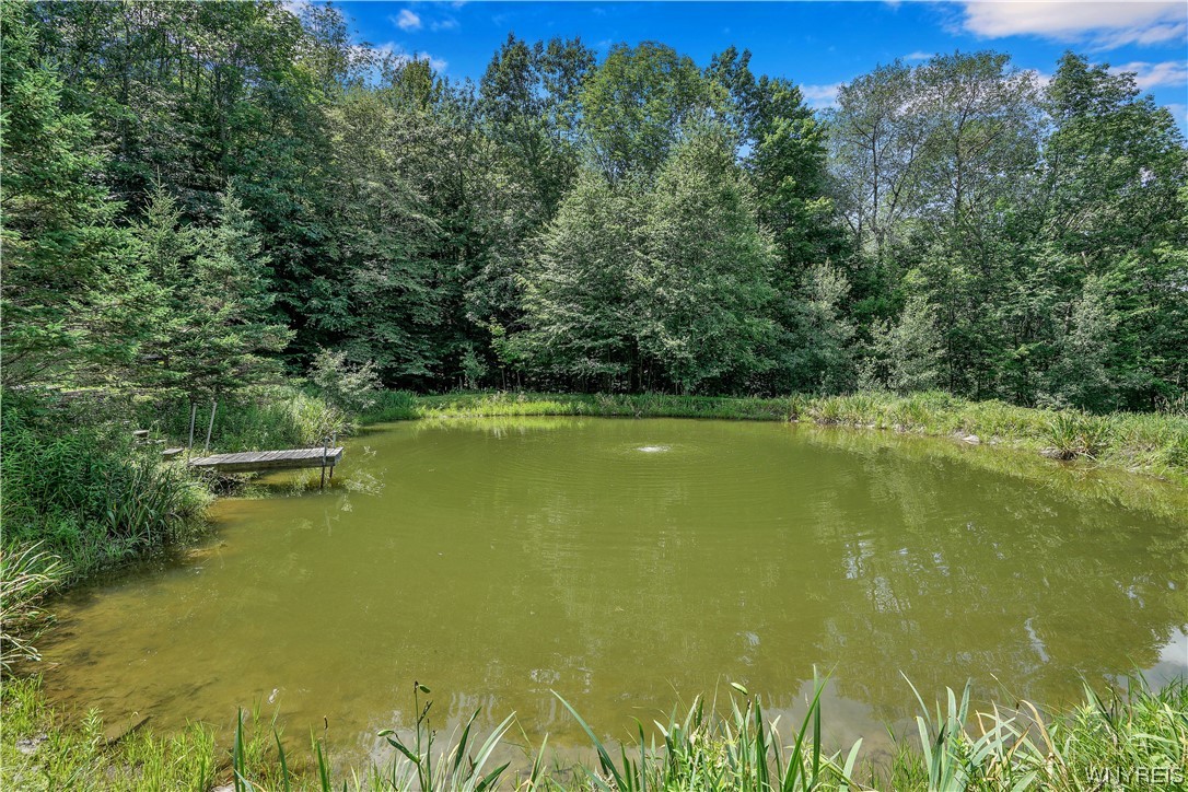 5560 Ackerman Hill Road Amity, NY 14813 - Photo 4 of 32