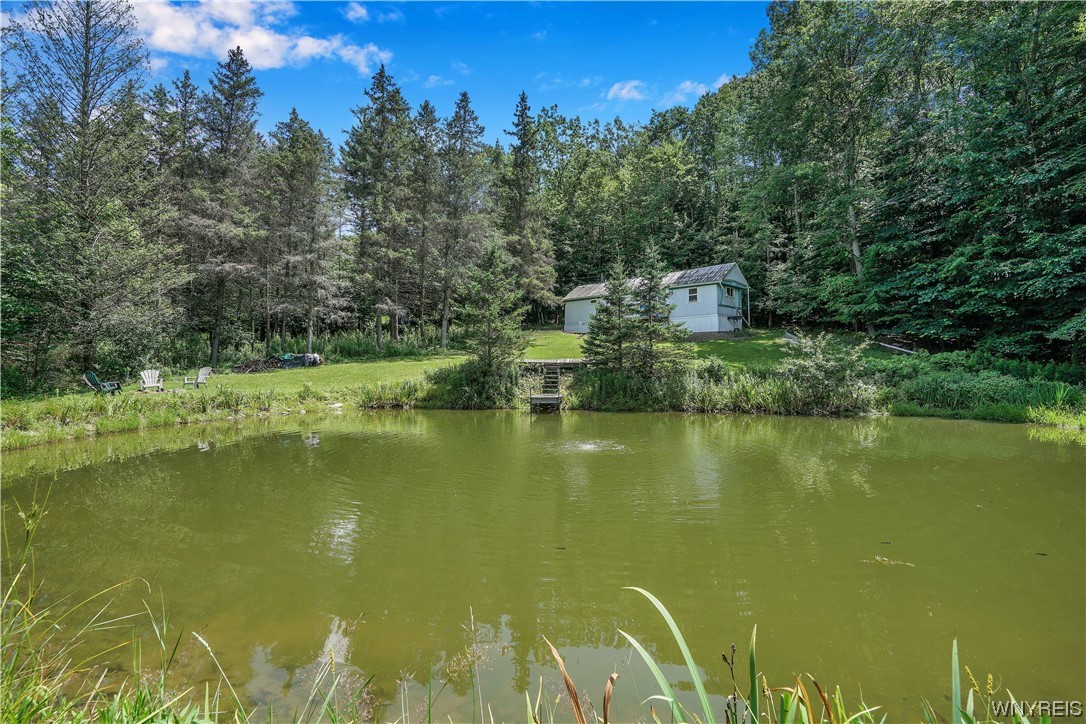 5560 Ackerman Hill Road Amity, NY 14813 - Photo 5 of 32