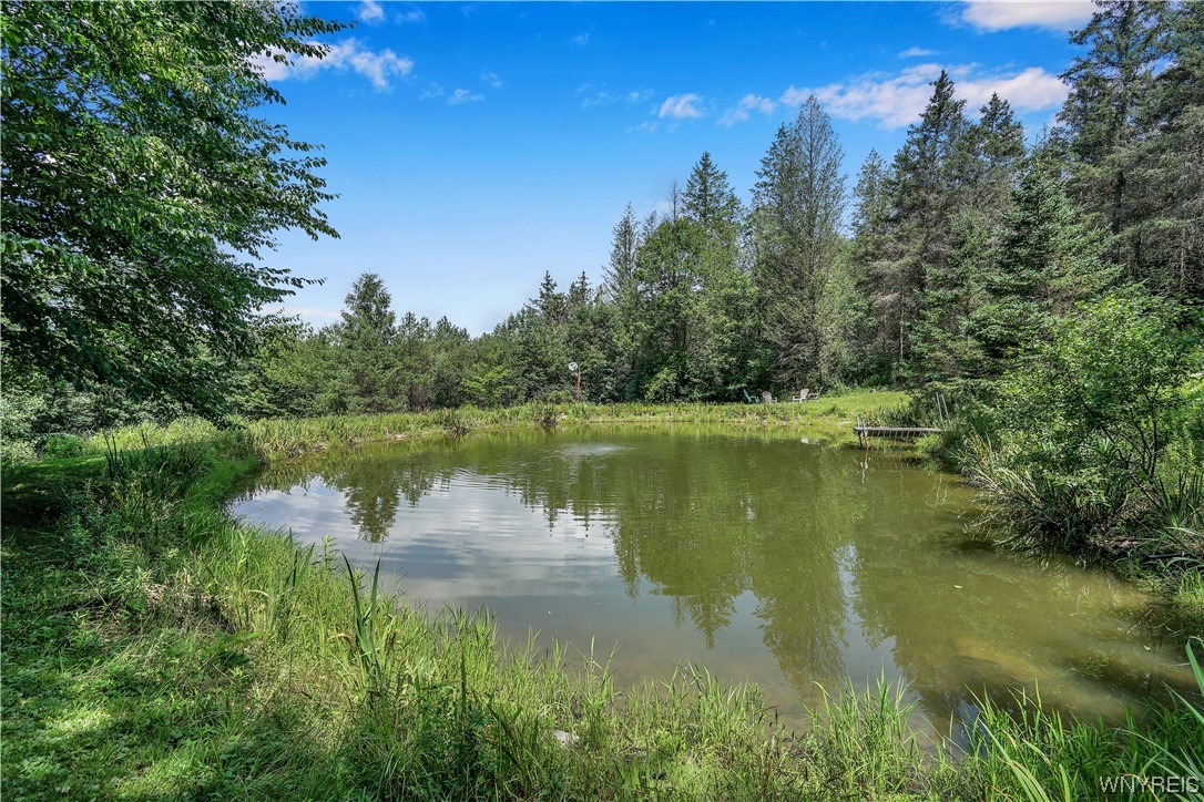 5560 Ackerman Hill Road Amity, NY 14813 - Photo 6 of 32