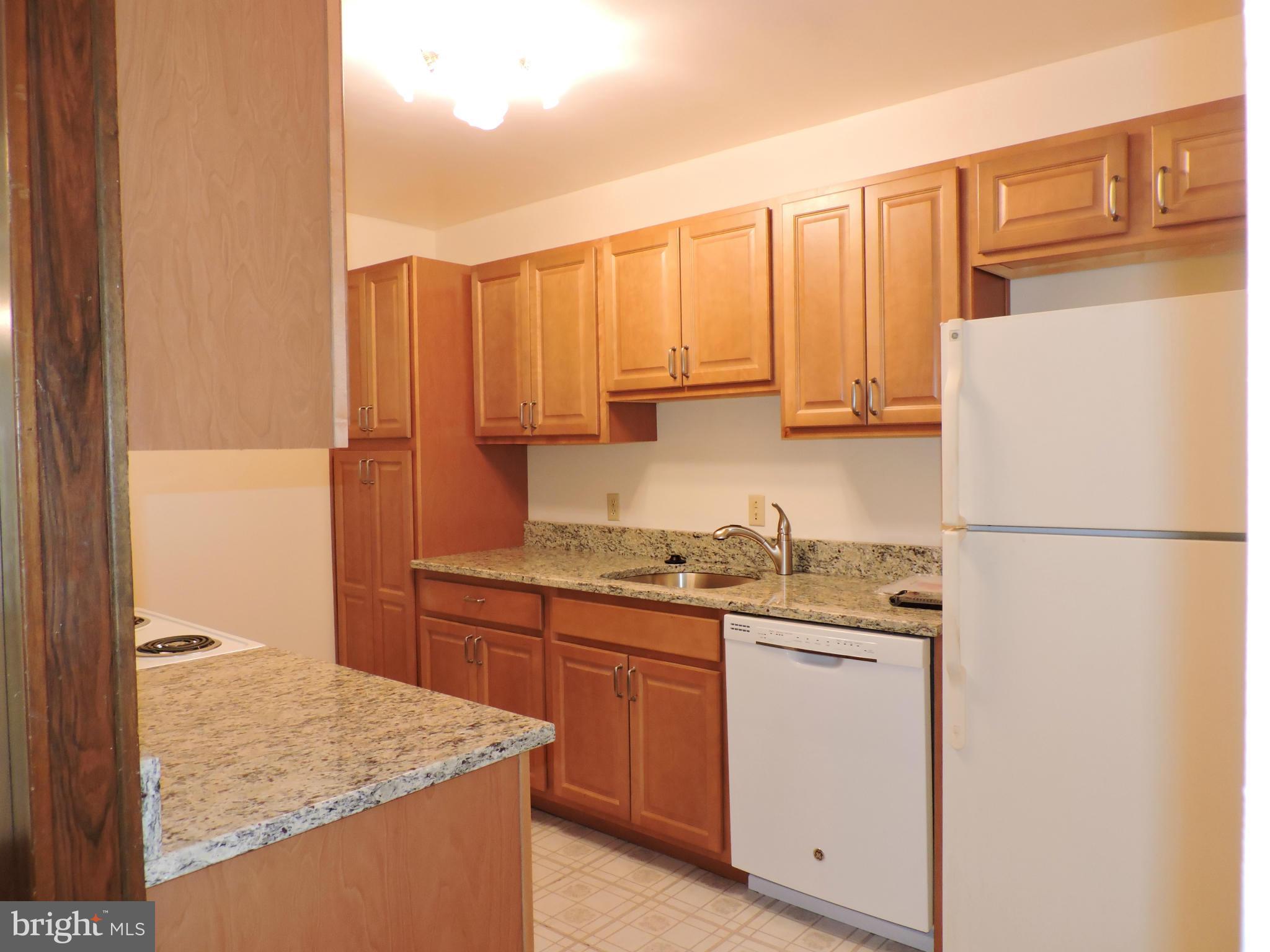 15030 Westholm Court, Unit 268C Silver Spring, MD 20906 - Photo 8 of 22 Kitchen
