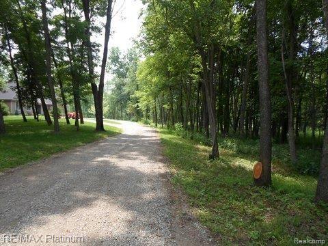 4300 Cullen Road Fenton, MI 48430 - Photo 43 of 43 SAM_3793.jpg