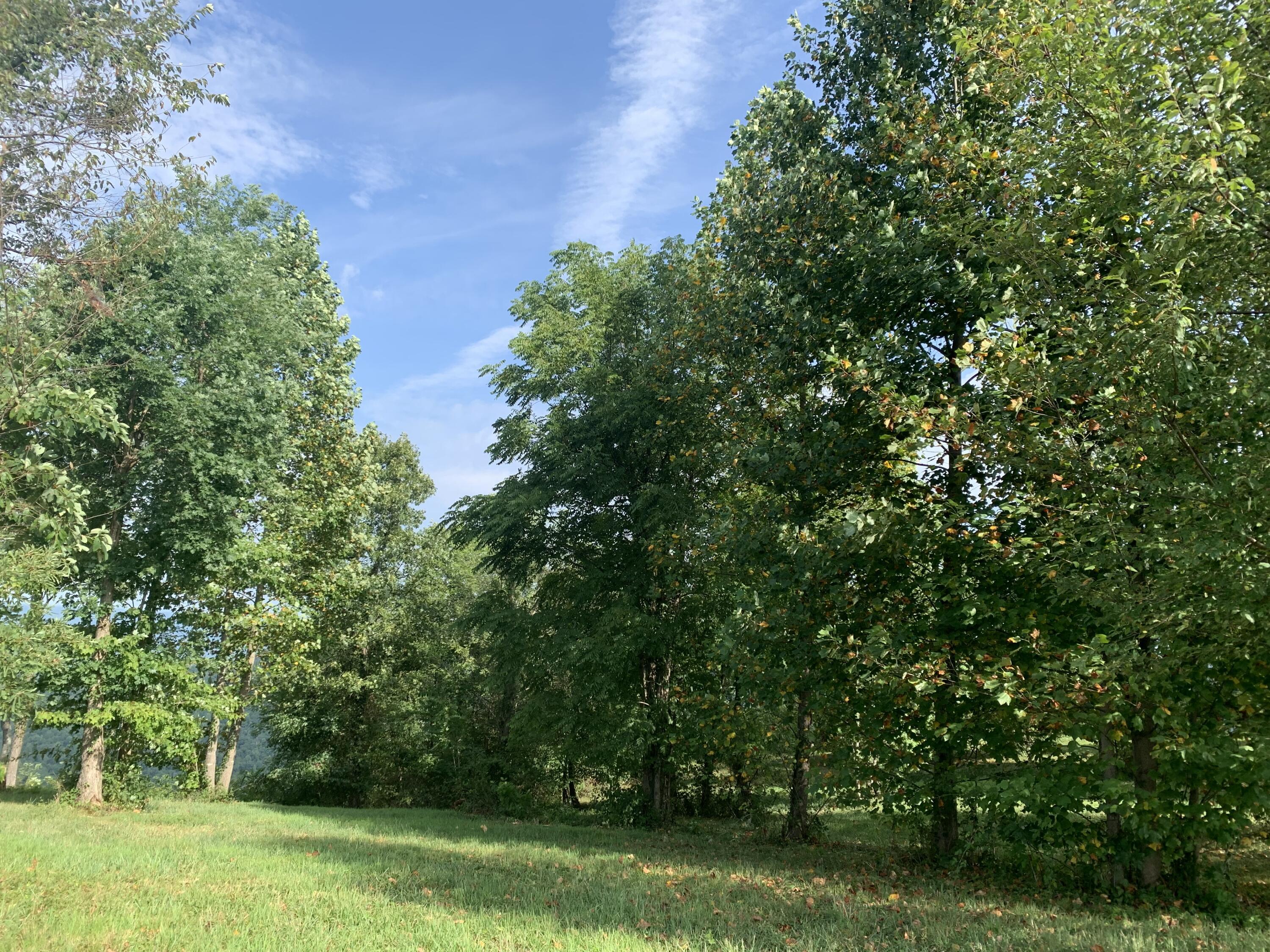 755 Sunset Circle, Unit SV109 Jasper, TN 37347 - Photo 16 of 48 E8F029C5-0F42-44FC-99BE-107C466B09A8