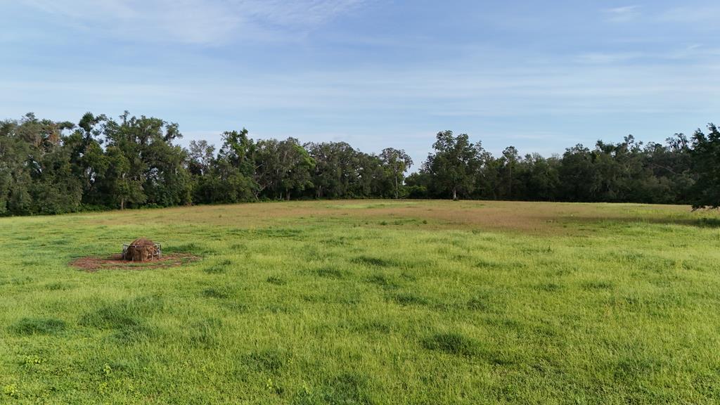 Vacant 145th Road Live Oak, FL 32060 - Photo 35 of 42