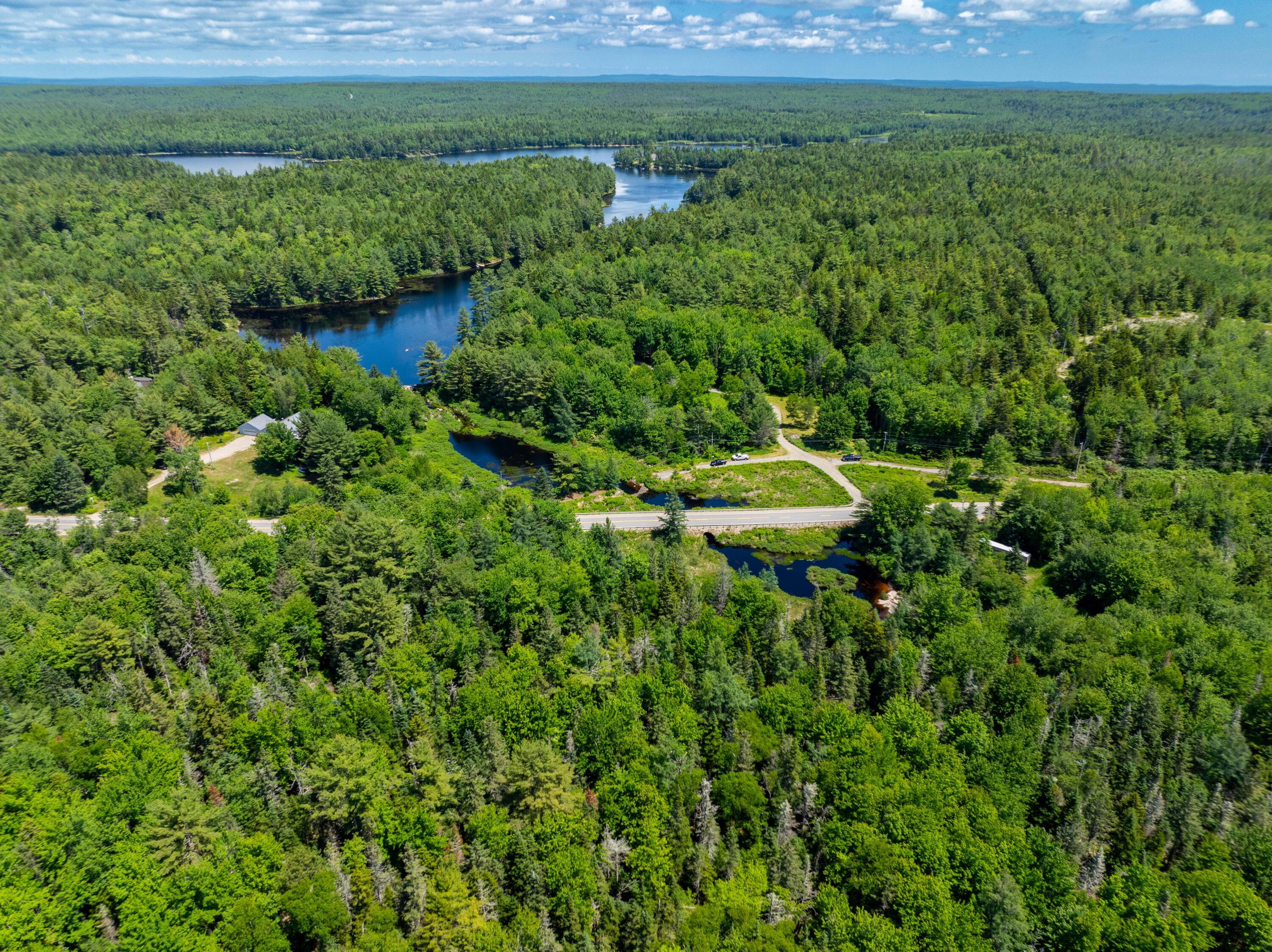 M4-l29 Northfield Road Machias, ME 04654 - Photo 23 of 23 42 Acre Lot Marshfield (6 of 32)