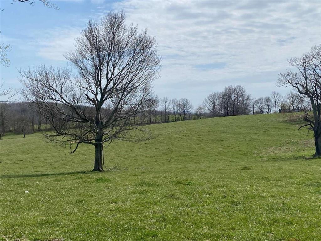 0 Lewis School Road Dahlonega, GA 30533 - Photo 1 of 1