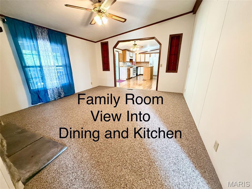 21005 Adair Road Carlyle, IL 62231 - Photo 39 of 83