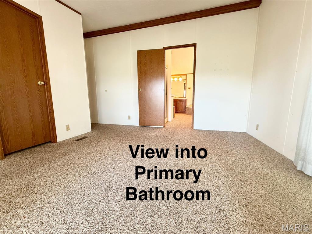 21005 Adair Road Carlyle, IL 62231 - Photo 54 of 83