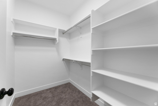 14392 South Champ Cove Draper, UT 84020 - Photo 18 of 31 Walk in closet with dark colored carpet