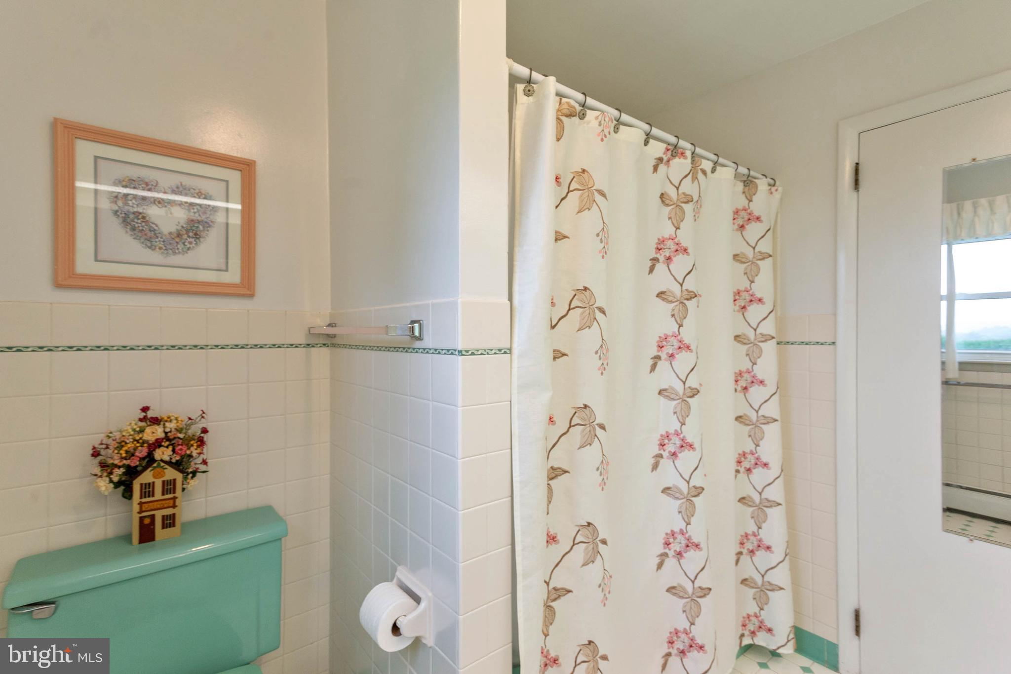 2890 Pleasant Hill Road Hanover, PA 17331 - Photo 30 of 45 Bathroom