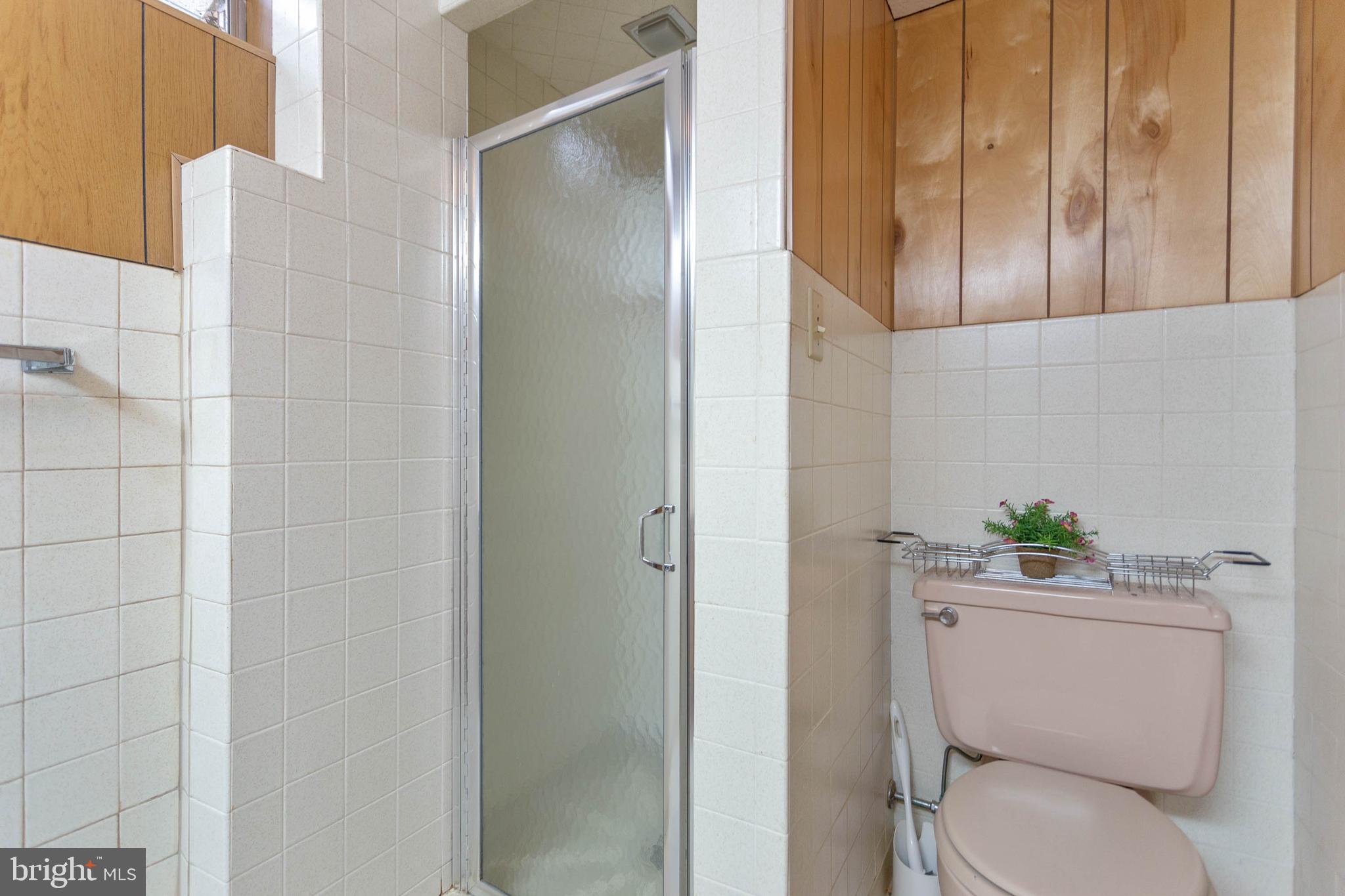 2890 Pleasant Hill Road Hanover, PA 17331 - Photo 36 of 45 Lower Level Bathroom