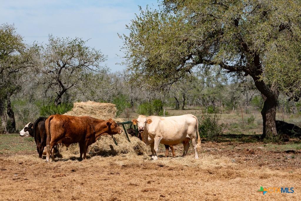 2632 Slickfield Road Yorktown, TX 78164 - Photo 22 of 33 a view of an outdoor space with seating