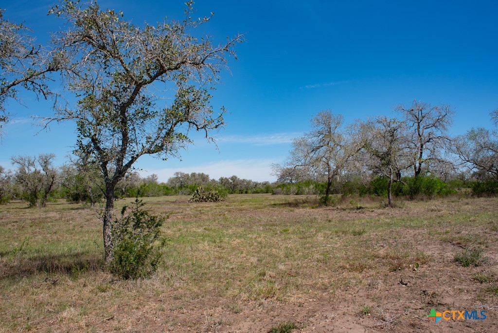 2632 Slickfield Road Yorktown, TX 78164 - Photo 23 of 33 a view of a yard with a tree