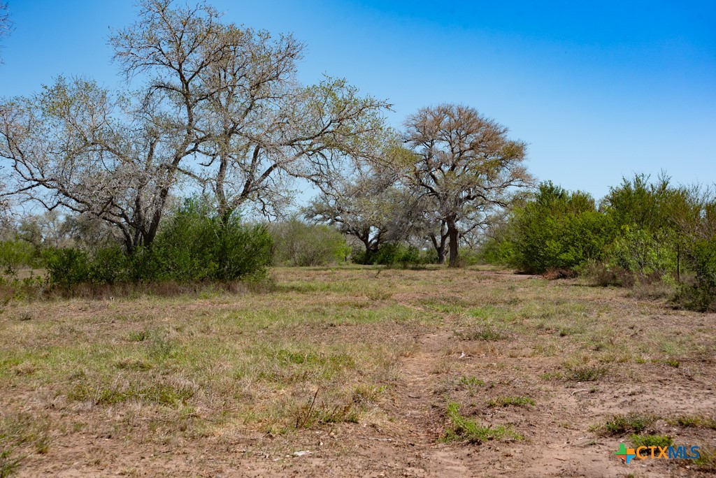 2632 Slickfield Road Yorktown, TX 78164 - Photo 24 of 33 a view of dirt yard with a tree
